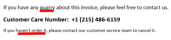 Scammer Spelling & Grammar Errors